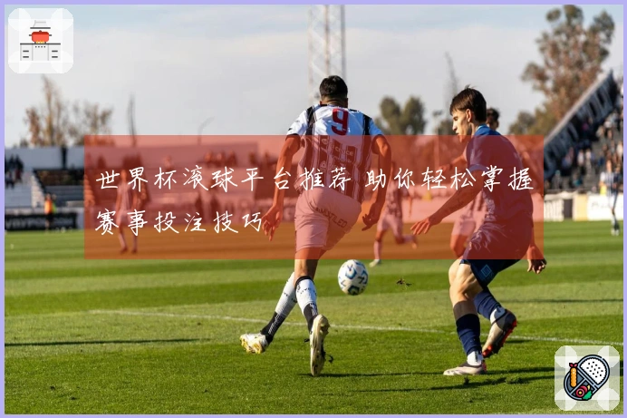 世界杯滚球平台推荐 助你轻松掌握赛事投注技巧