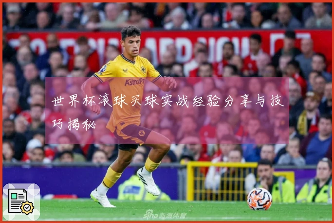 世界杯滚球买球实战经验分享与技巧揭秘