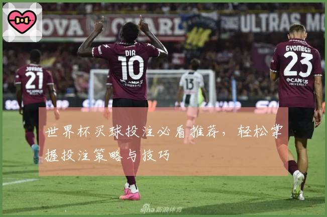 世界杯买球投注必看推荐，轻松掌握投注策略与技巧