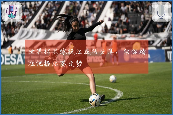 世界杯买球投注技巧分享，助你精准把握比赛走势