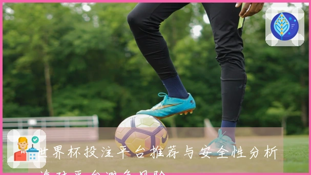 世界杯投注平台推荐与安全性分析 选对平台避免风险