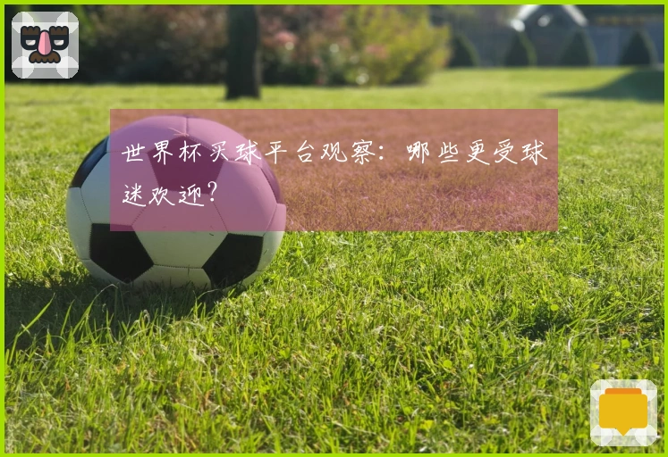 世界杯买球平台观察：哪些更受球迷欢迎？