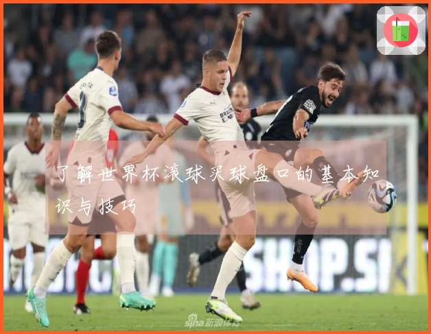 了解世界杯滚球买球盘口的基本知识与技巧