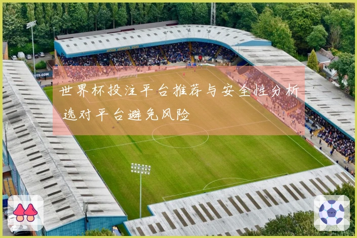 世界杯投注平台推荐与安全性分析 选对平台避免风险