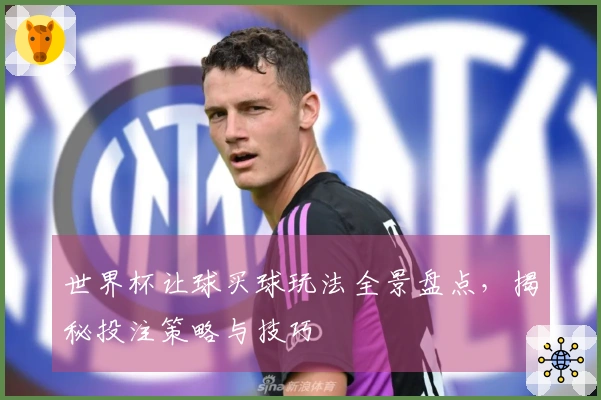 世界杯让球买球玩法全景盘点，揭秘投注策略与技巧