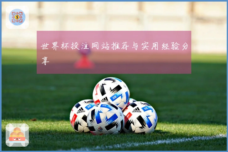 世界杯投注网站推荐与实用经验分享