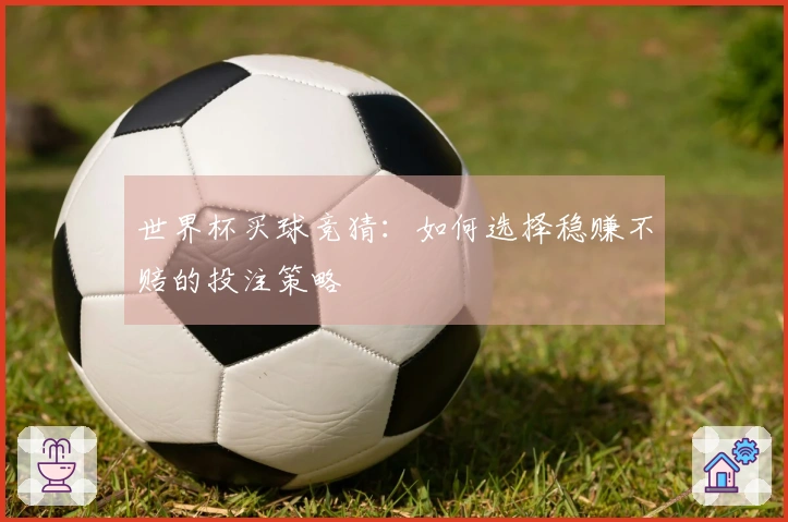 世界杯买球竞猜：如何选择稳赚不赔的投注策略