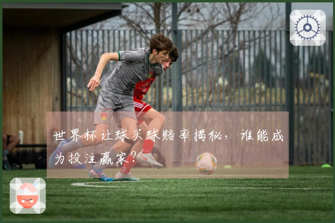 世界杯让球买球赔率揭秘，谁能成为投注赢家？