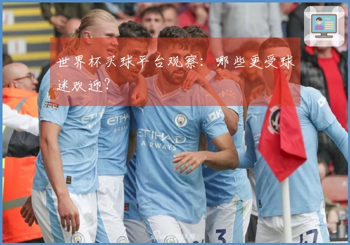 世界杯买球平台观察：哪些更受球迷欢迎？