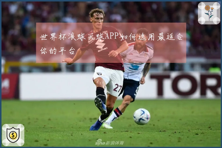 世界杯滚球买球APP如何选用最适合你的平台