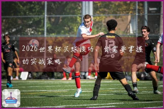 2026世界杯买球技巧，你需要掌握的实战策略