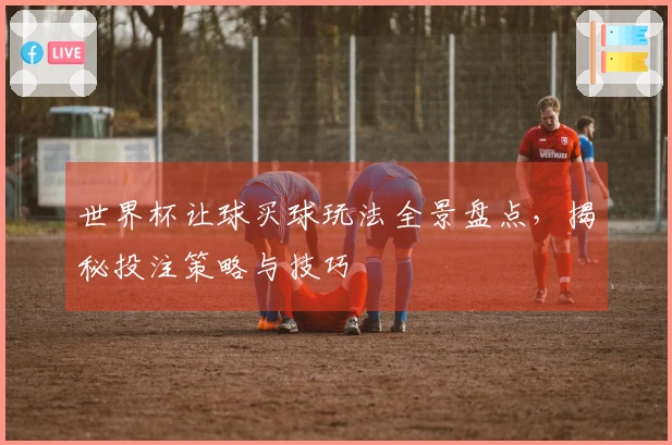 世界杯让球买球玩法全景盘点，揭秘投注策略与技巧