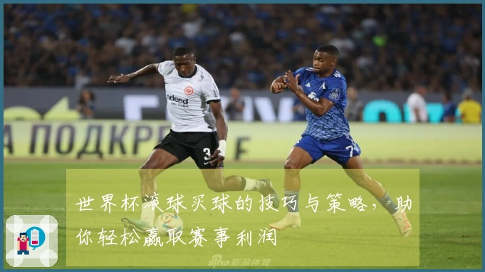世界杯滚球买球的技巧与策略，助你轻松赢取赛事利润