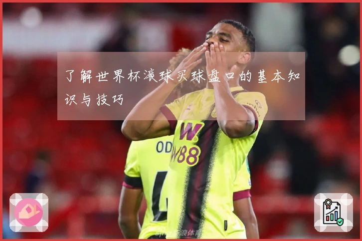 了解世界杯滚球买球盘口的基本知识与技巧